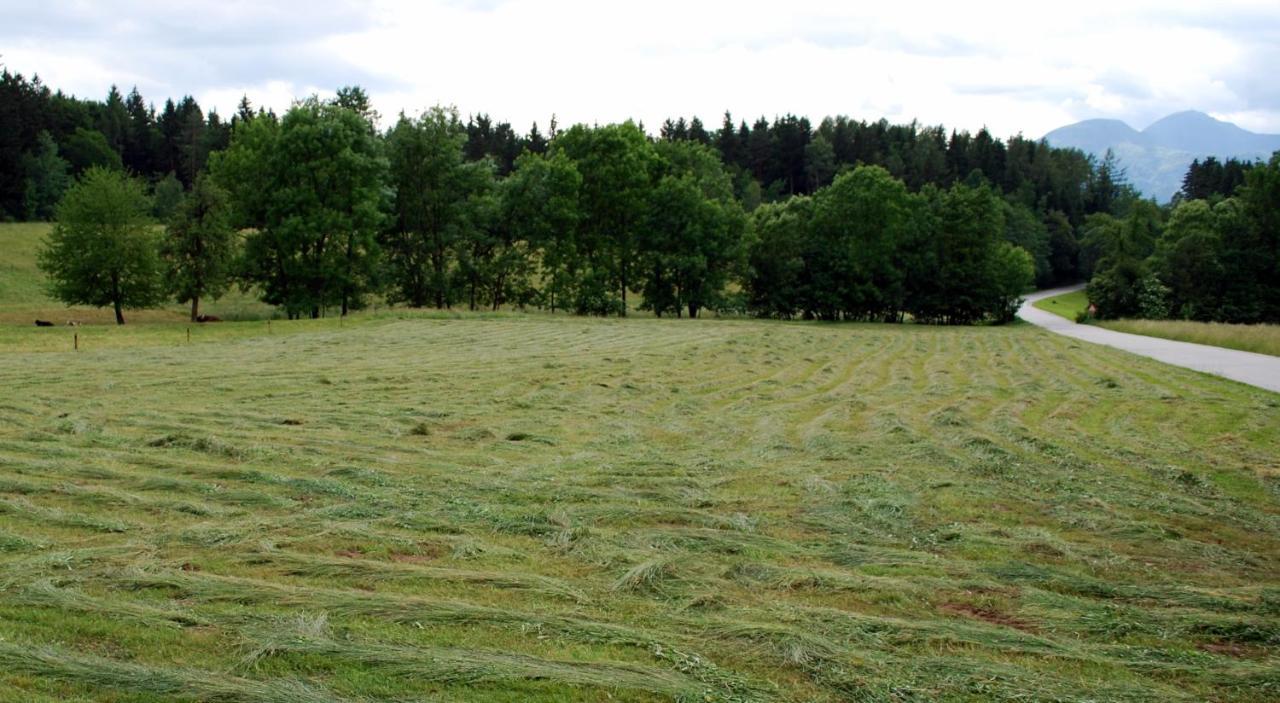 סלובן גראדץ Farm Stay Rotovnik - Plesnik מראה חיצוני תמונה