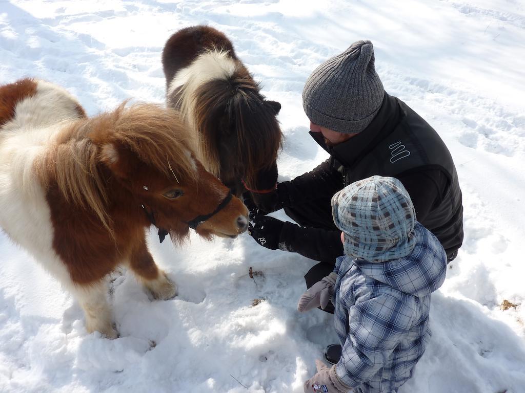 סלובן גראדץ Farm Stay Rotovnik - Plesnik מראה חיצוני תמונה