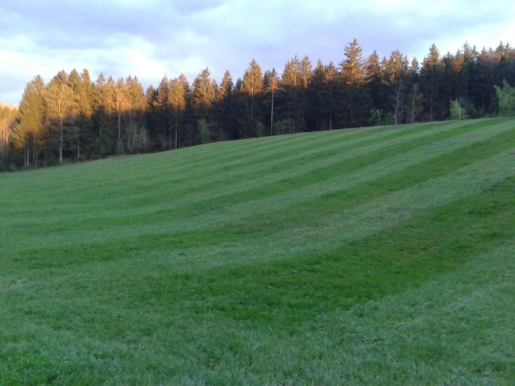 סלובן גראדץ Farm Stay Rotovnik - Plesnik מראה חיצוני תמונה