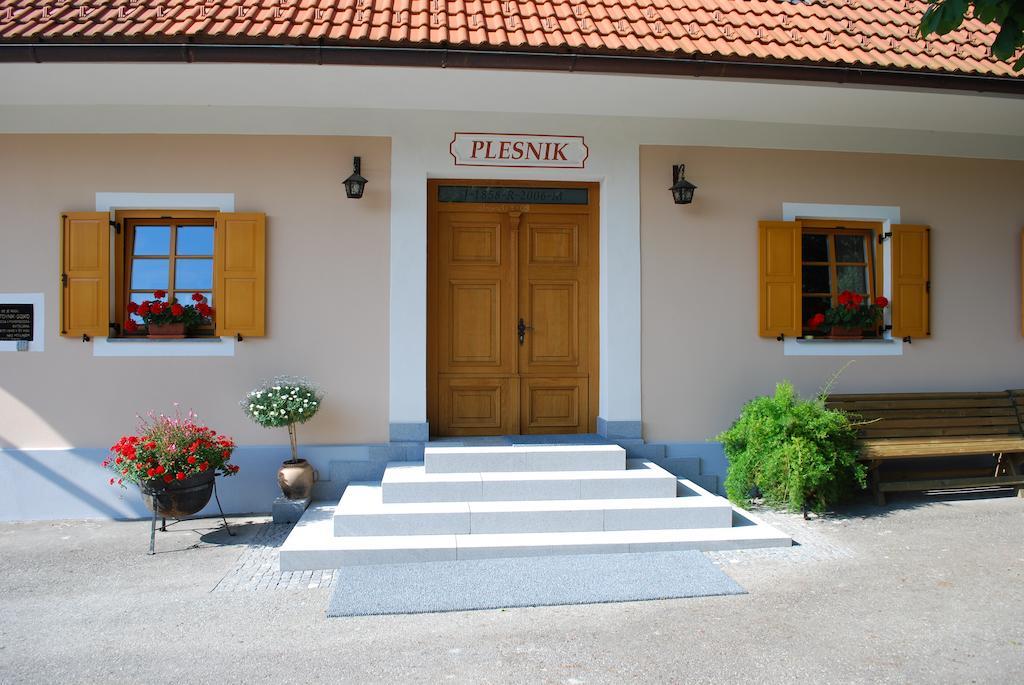 סלובן גראדץ Farm Stay Rotovnik - Plesnik מראה חיצוני תמונה